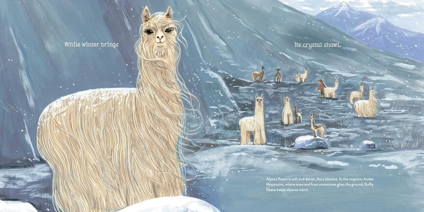 Alpacas Here, Alpacas There