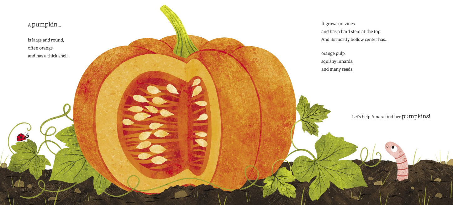 Where in the Garden? #1: Amara's Farm