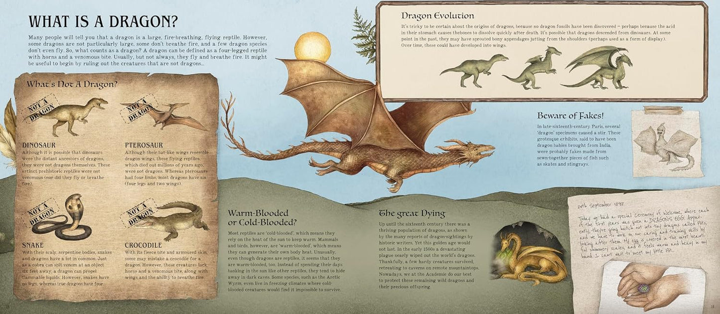 A Natural History of Dragons