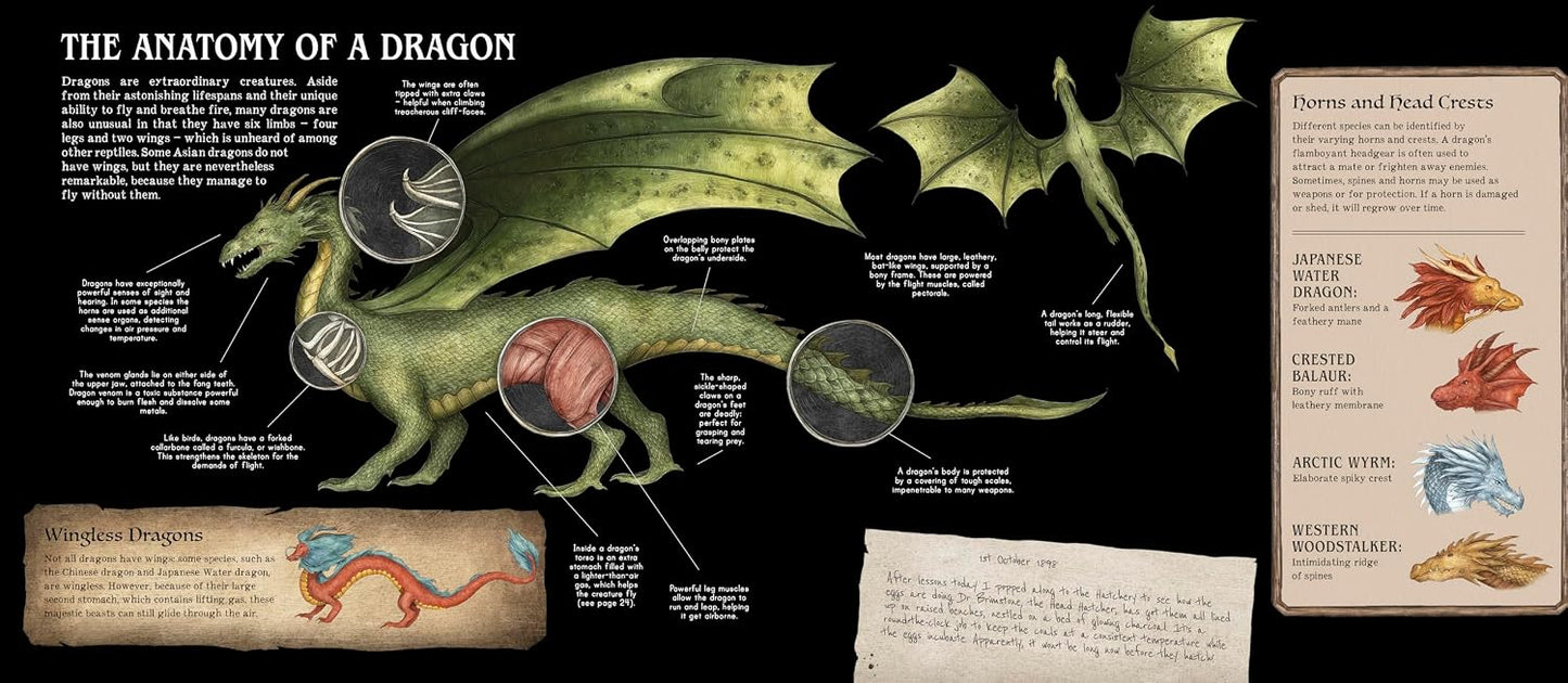 A Natural History of Dragons