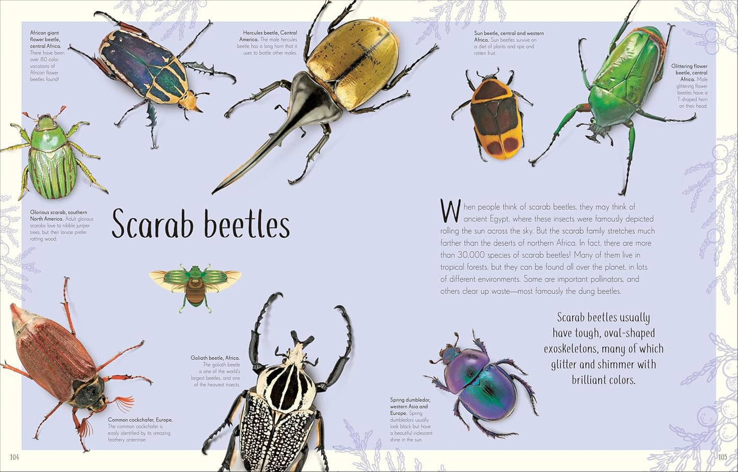 An Anthology of Remarkable Bugs