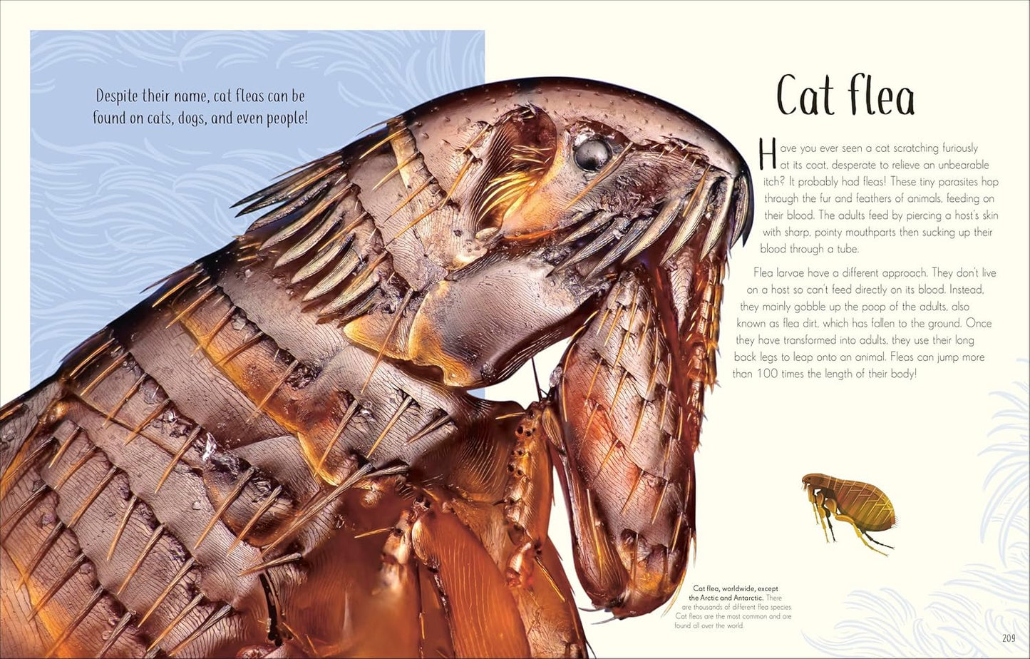 An Anthology of Remarkable Bugs