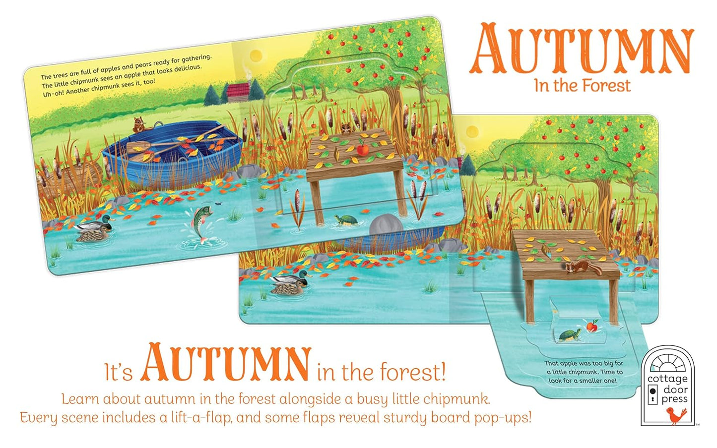 Pop-Up Surprise: Autumn in the Forest