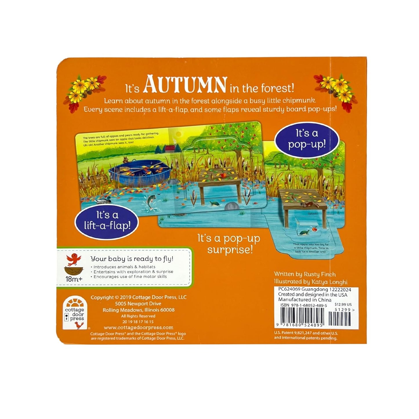 Pop-Up Surprise: Autumn in the Forest