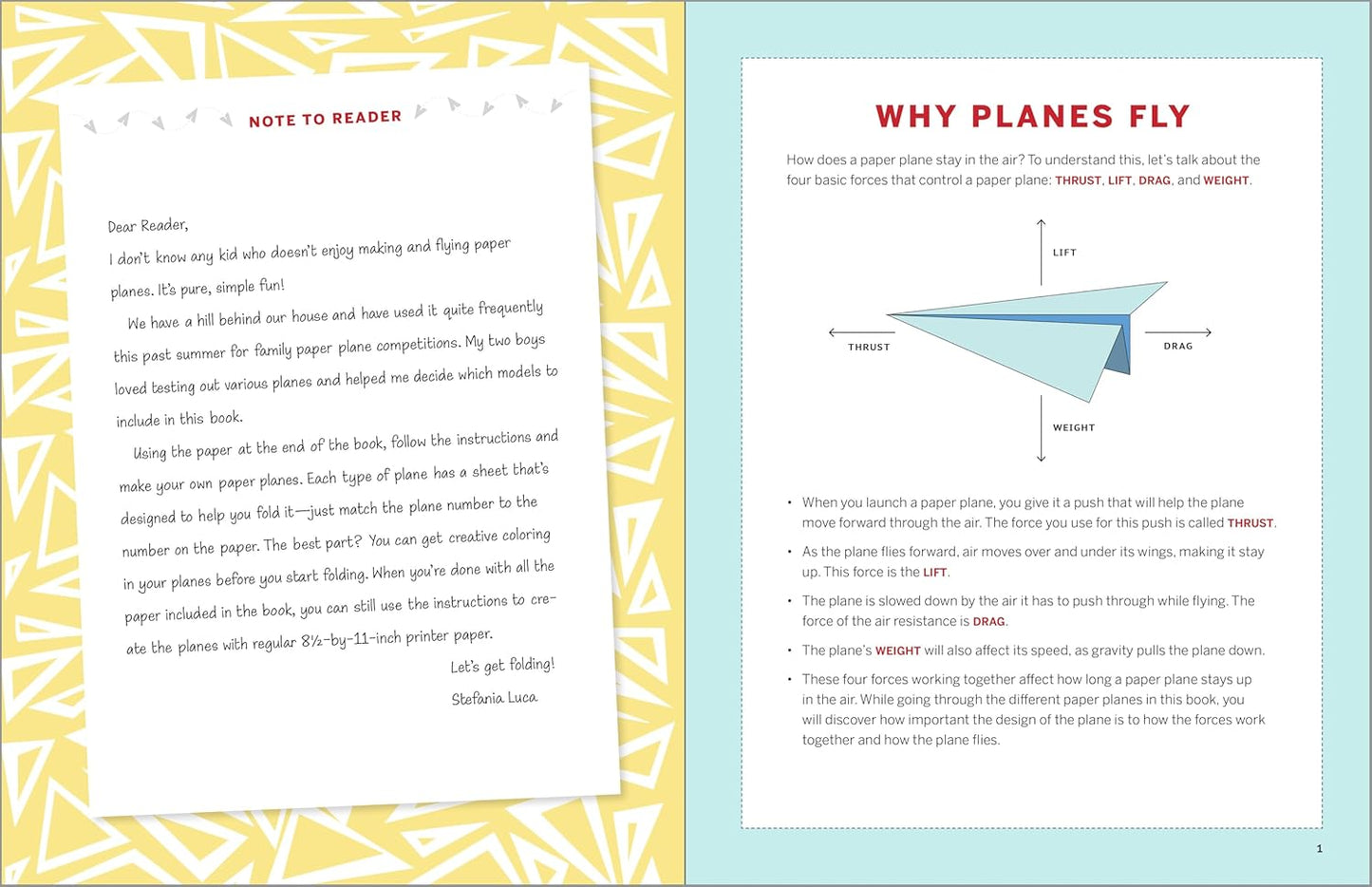 The Awesome Paper Airplane Book for Kids