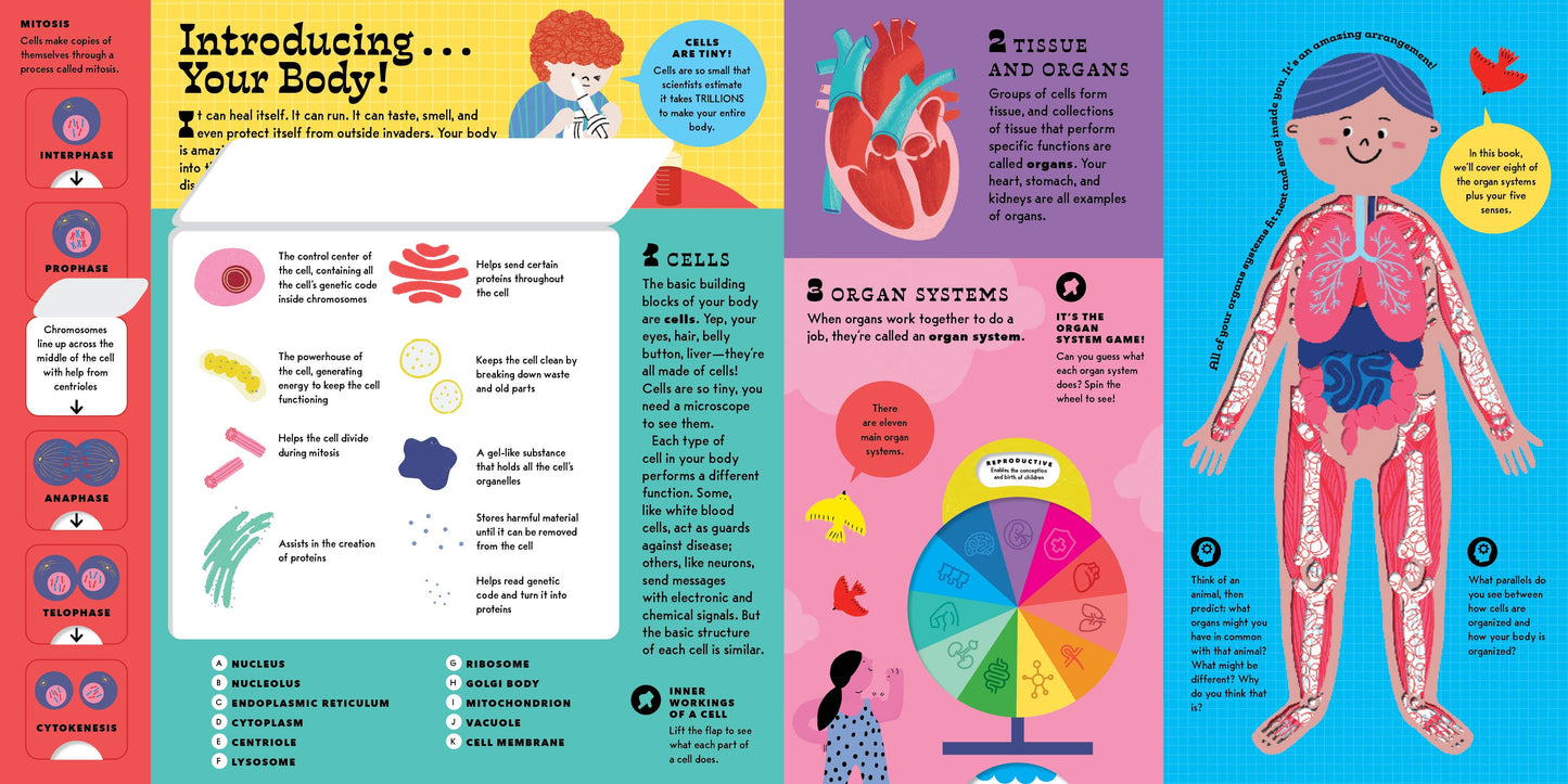 The Interactive Human Body