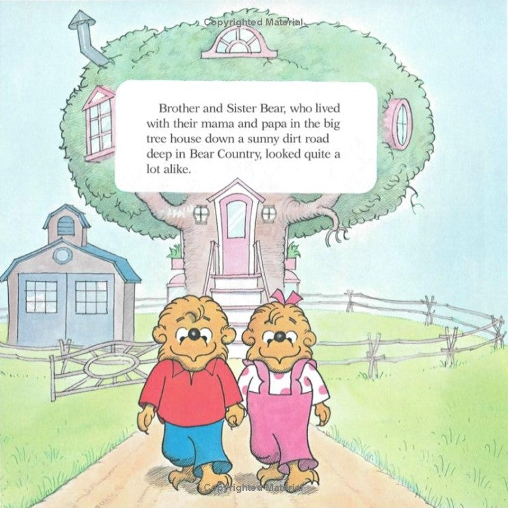 The Berenstain Bears Learn about Strangers