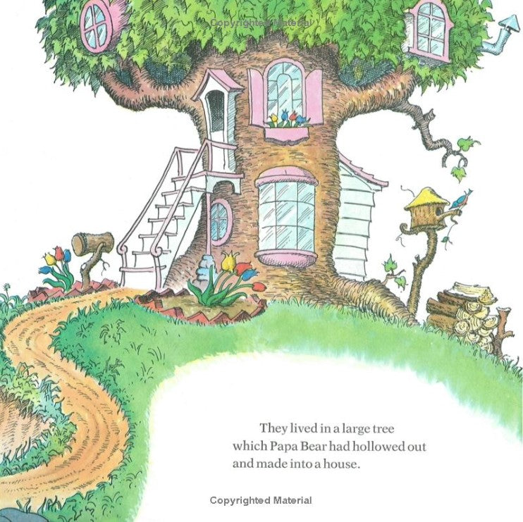 The Berenstain Bears' New Baby