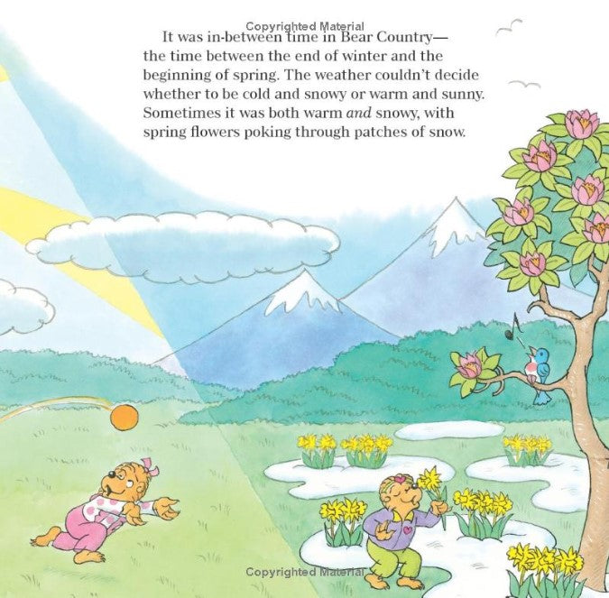 The Berenstain Bears' St. Patrick's Day