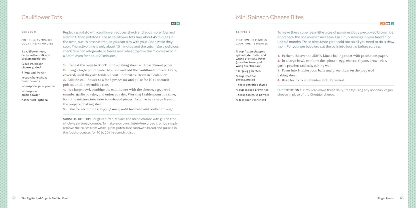The Big Book of Organic Toddler Food