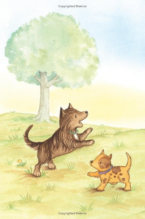My First I Can Read: Biscuit Loves the Park