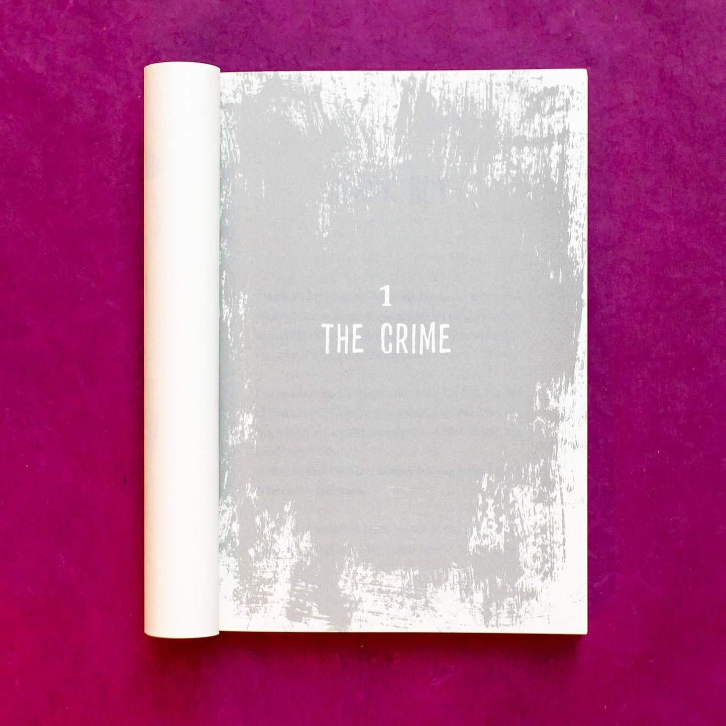 Black Brother, Black Brother