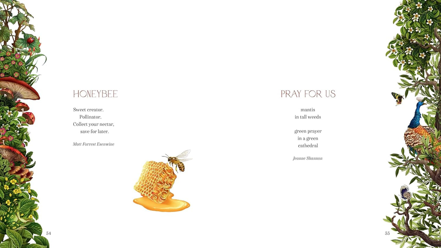 Bless the Earth: A Collection of Poetry for Children to Celebrate and Care for Our World