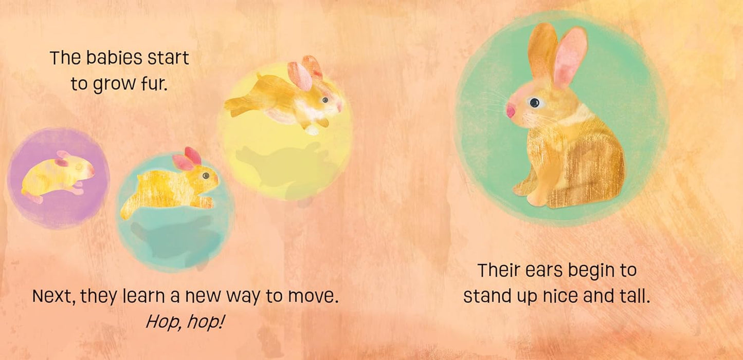 Bunnies Know & Grow