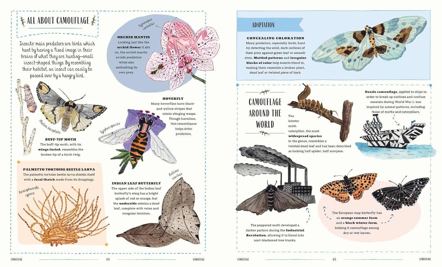 Buzz: A Family Guide to Bugs and Bees and How to Spot Them