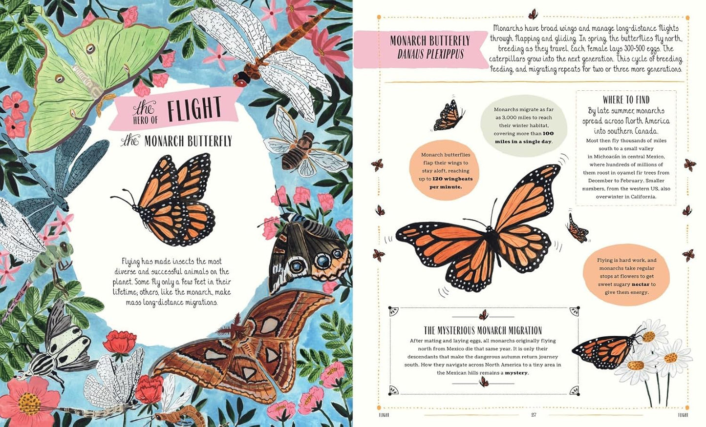 Buzz: A Family Guide to Bugs and Bees and How to Spot Them