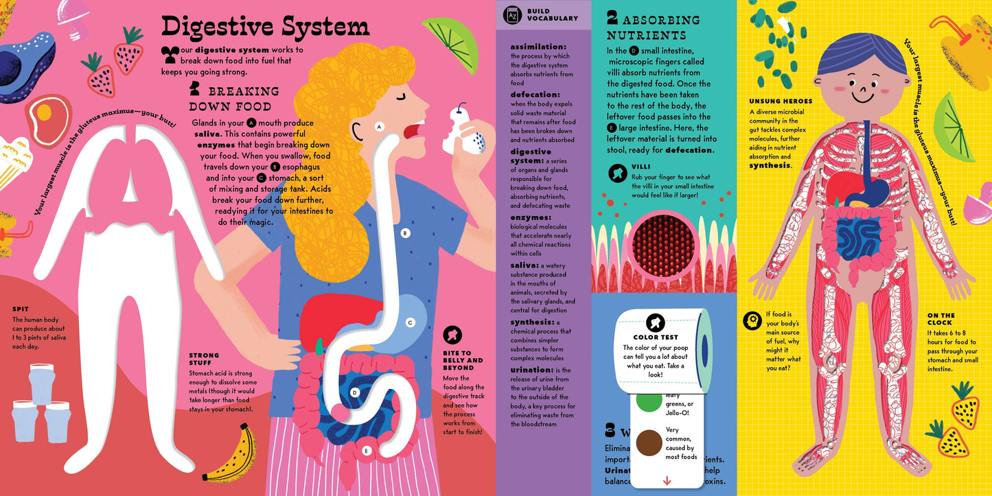 The Interactive Human Body