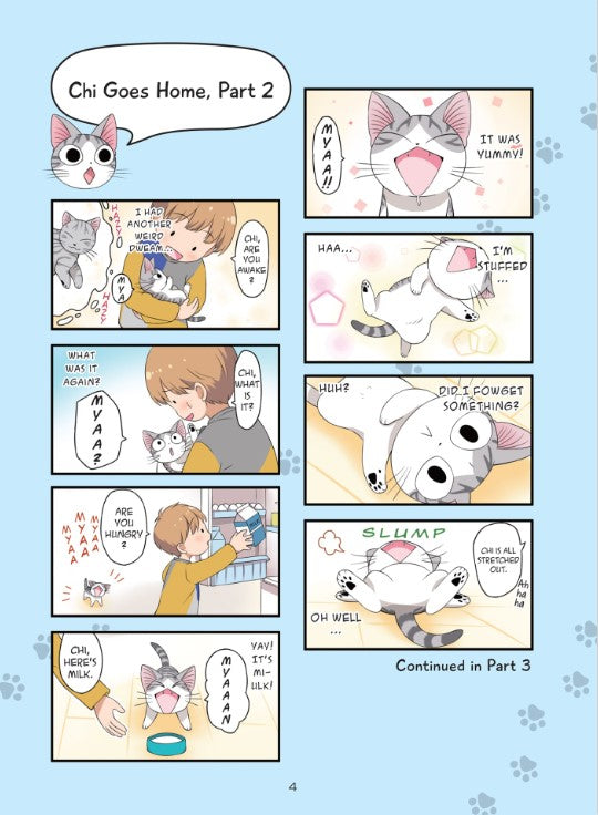 Chi's Sweet Adventures 1