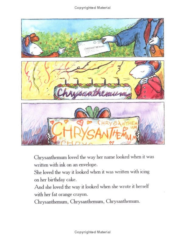 Chrysanthemum