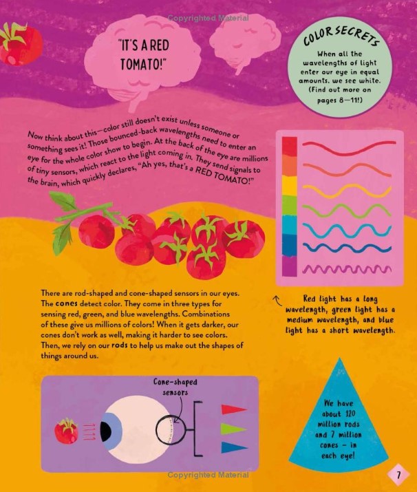 The Stories and Secrets of Colors