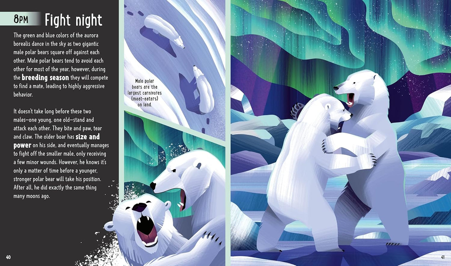 A Day in the Life: Bears