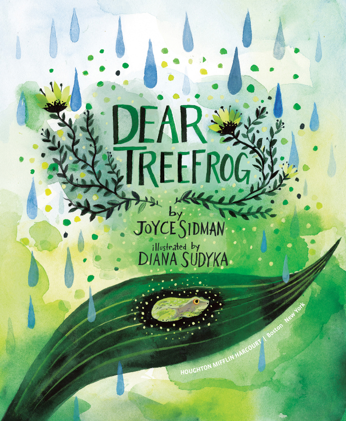 Dear Treefrog