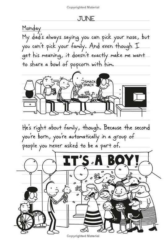 Diary of a Wimpy Kid #19: Hot Mess