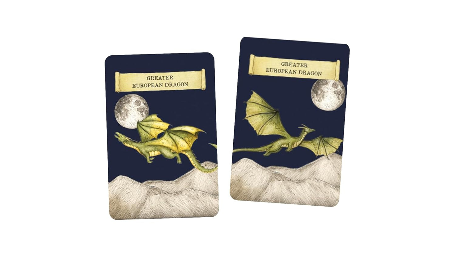 Discover the Dragons: Memory Game