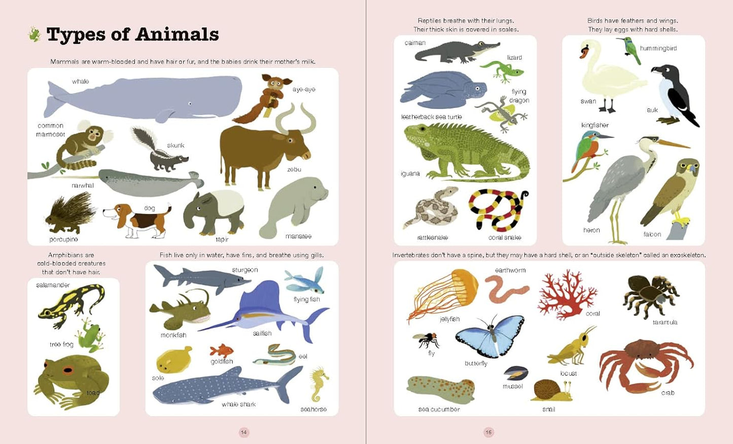 Do You Know?: Animals of Land, Sea, and Air