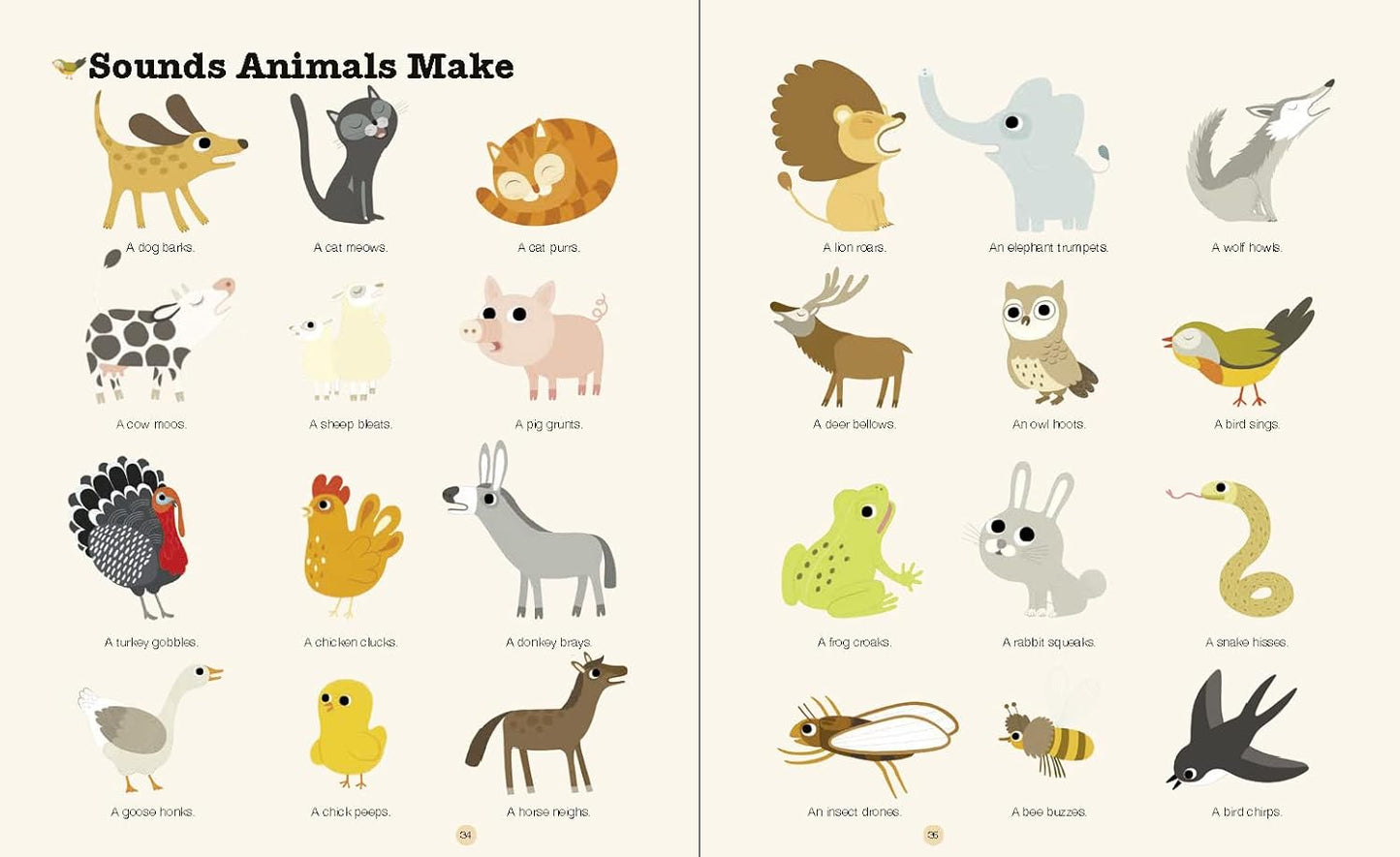 Do You Know?: Animals of Land, Sea, and Air