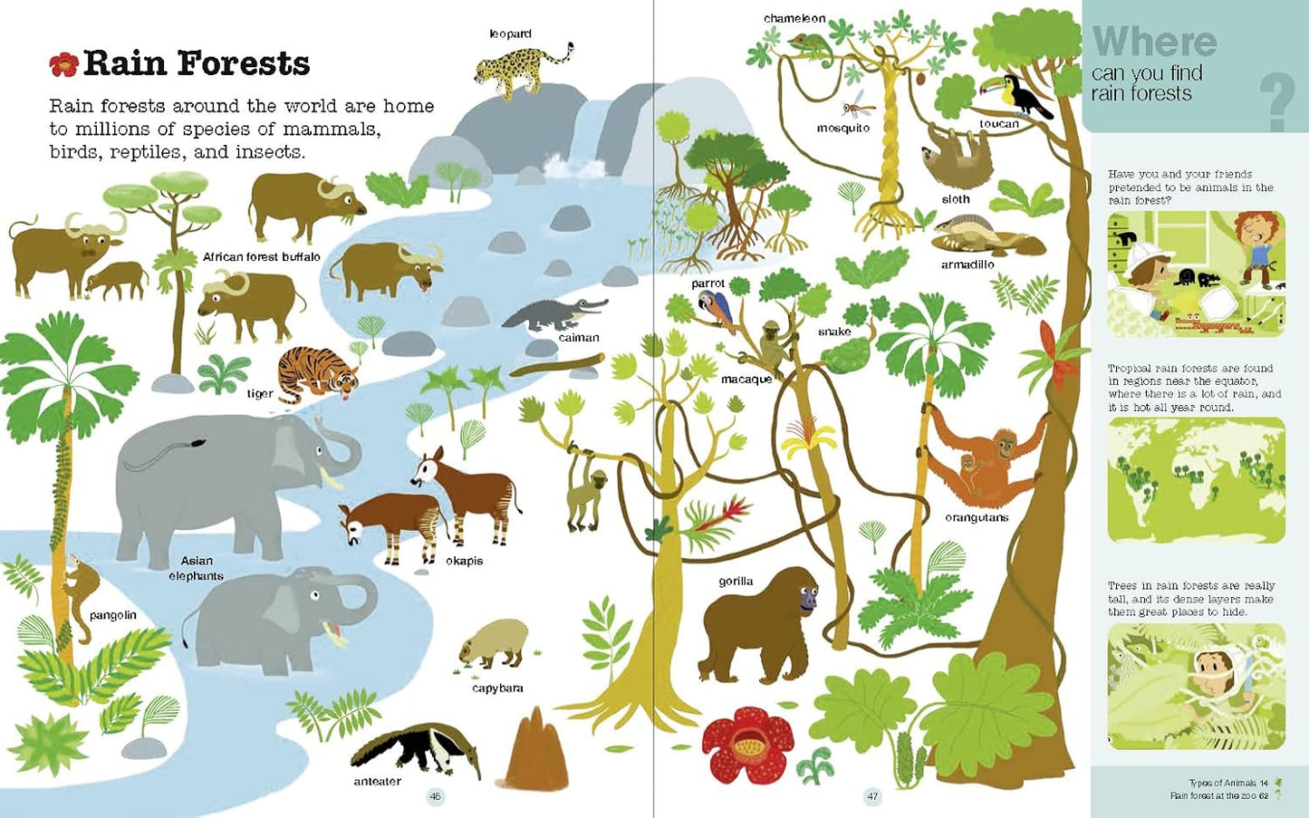 Do You Know?: Animals of Land, Sea, and Air