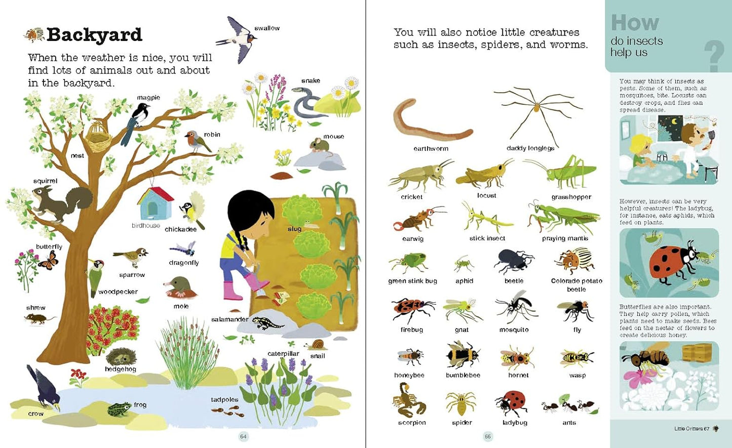 Do You Know?: Animals of Land, Sea, and Air