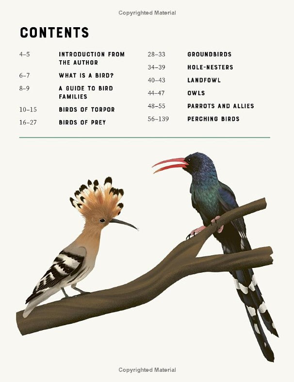 Encyclopedia of Birds