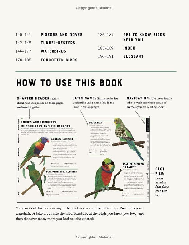 Encyclopedia of Birds