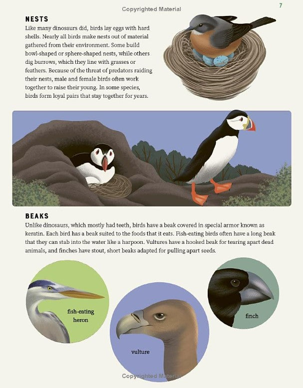 Encyclopedia of Birds