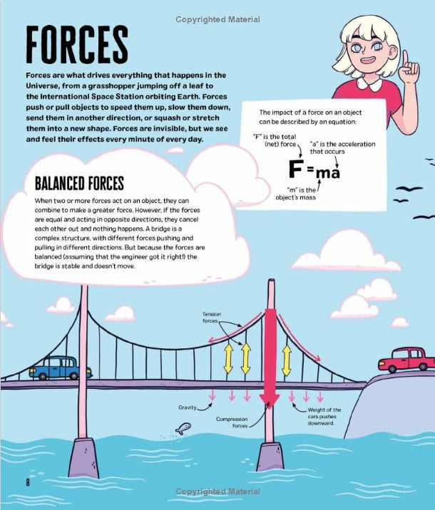 Everyday STEM Science: Physics (Paperback)