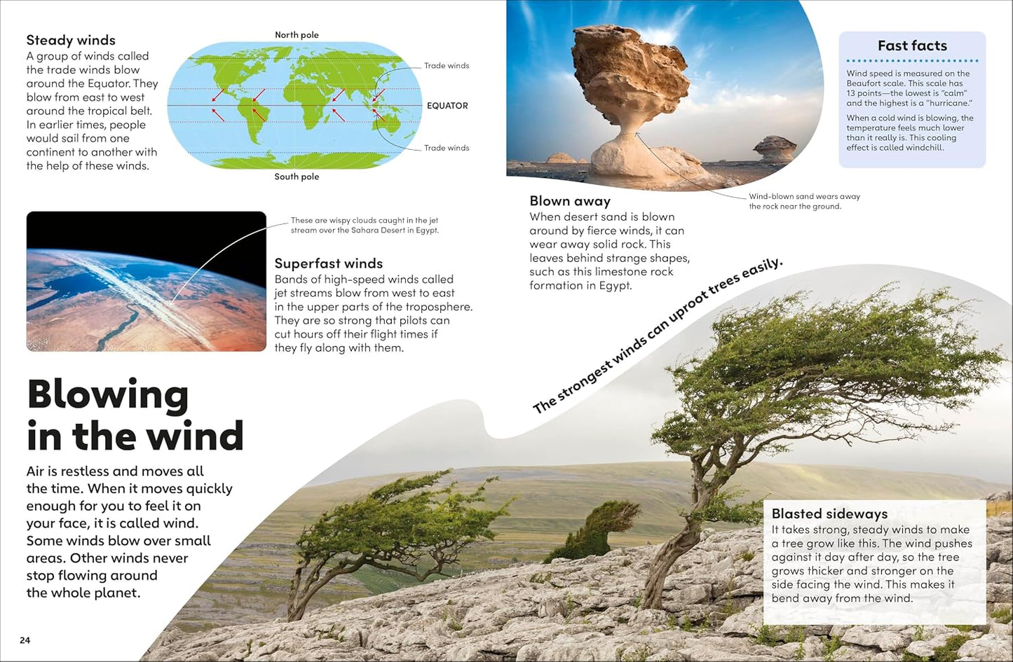 Eyewonder Weather: Open Your Eyes to a World of Discovery