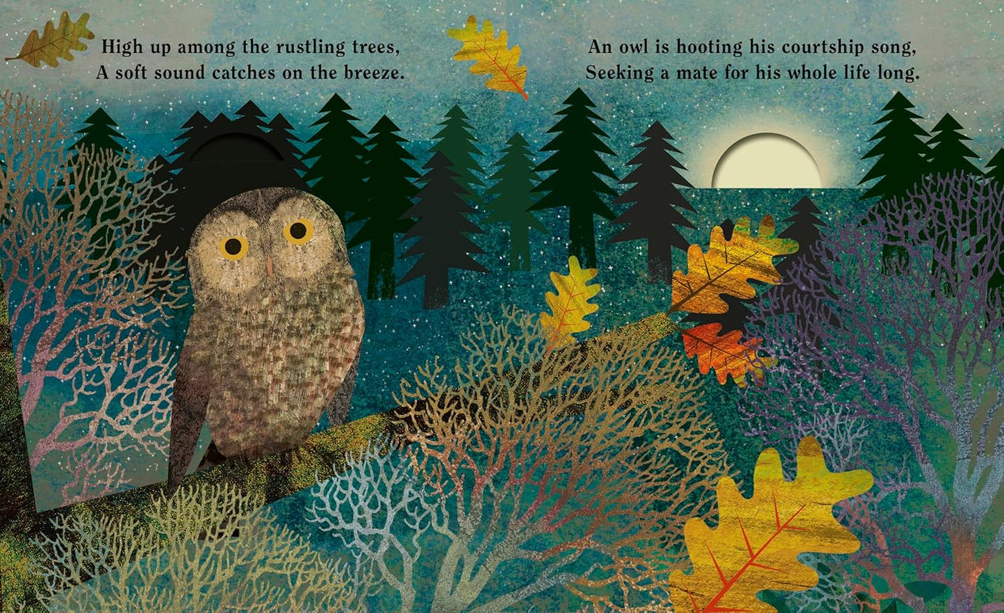 Family: A Peek-Through Picture Book