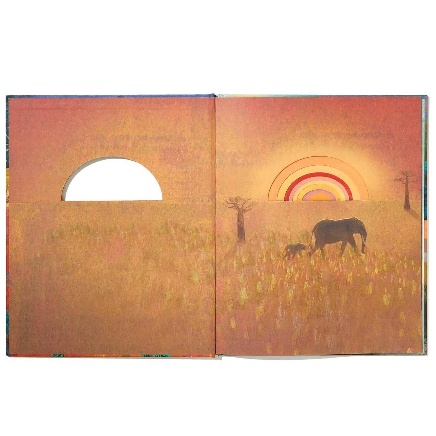 Family: A Peek-Through Picture Book