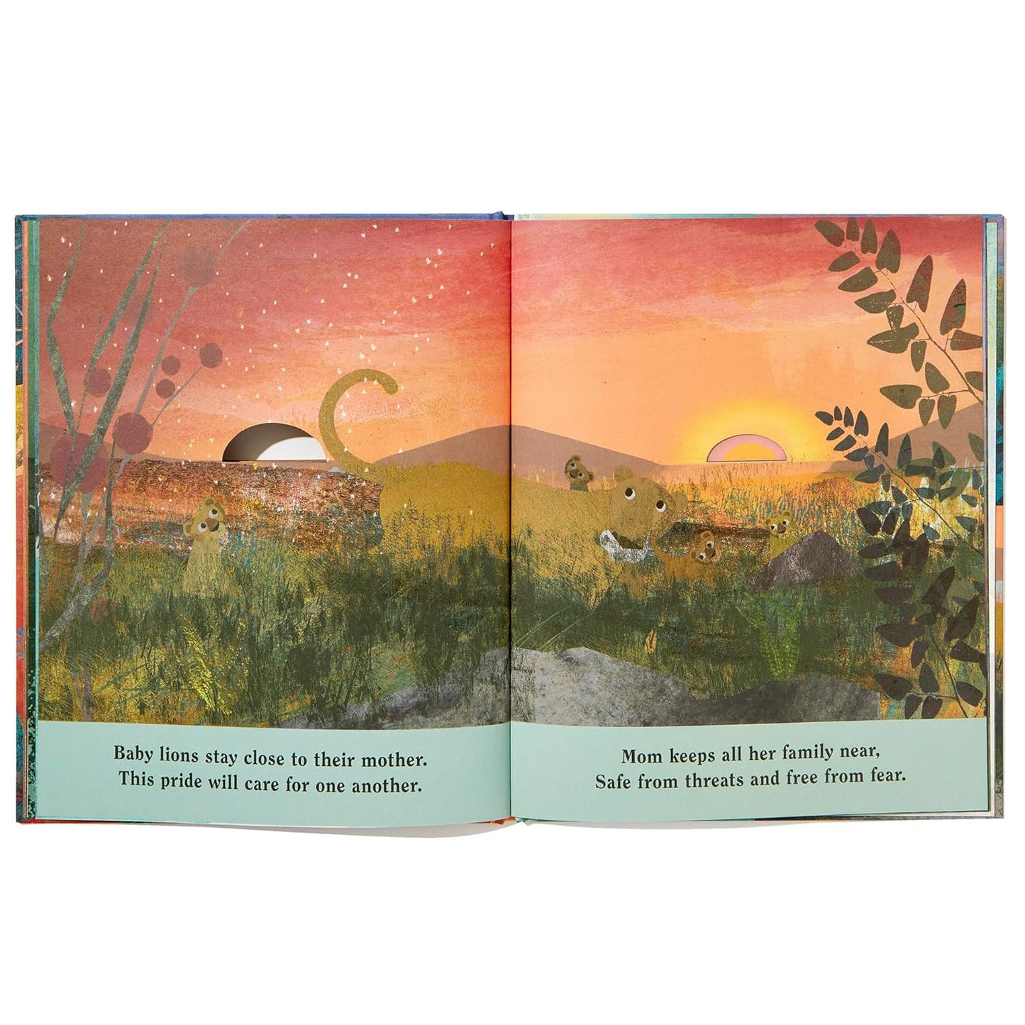 Family: A Peek-Through Picture Book