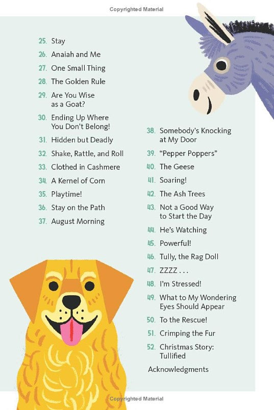 Finding Jesus on Upside Down Days: Family Devotions from the Barnyard