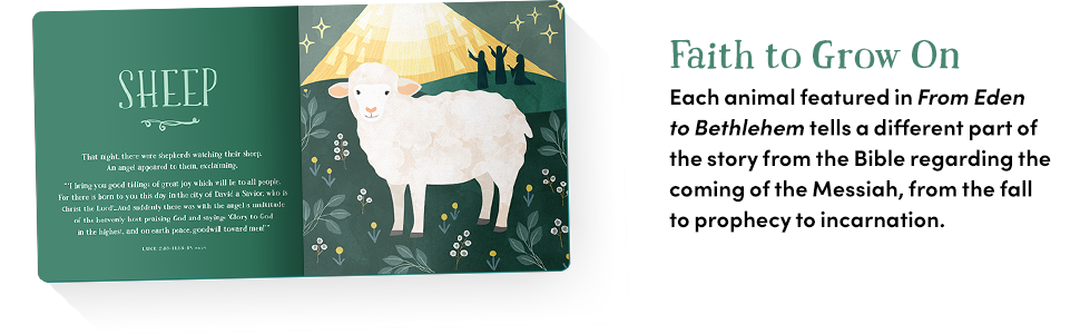 Baby Believer: From Eden to Bethlehem: An Animals Primer