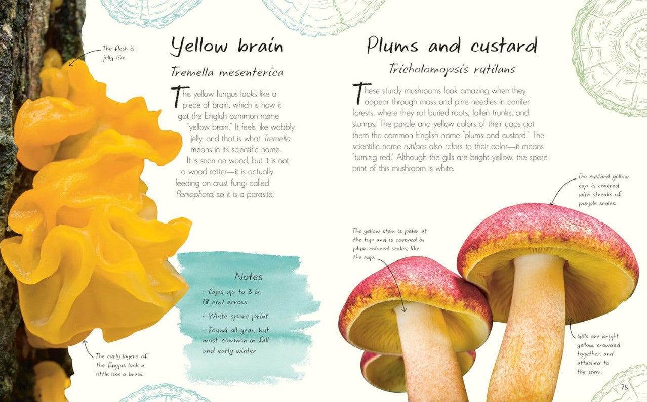 An Anthology of Fungi