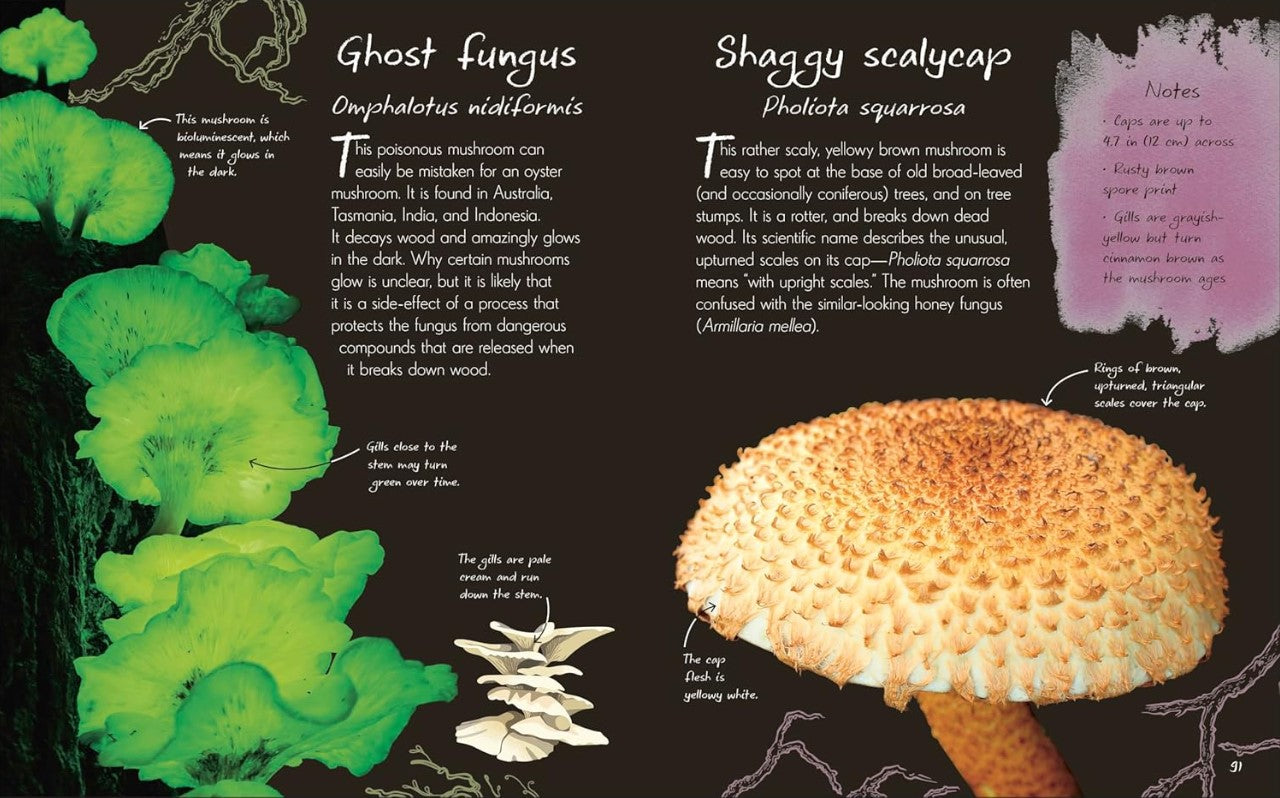 An Anthology of Fungi