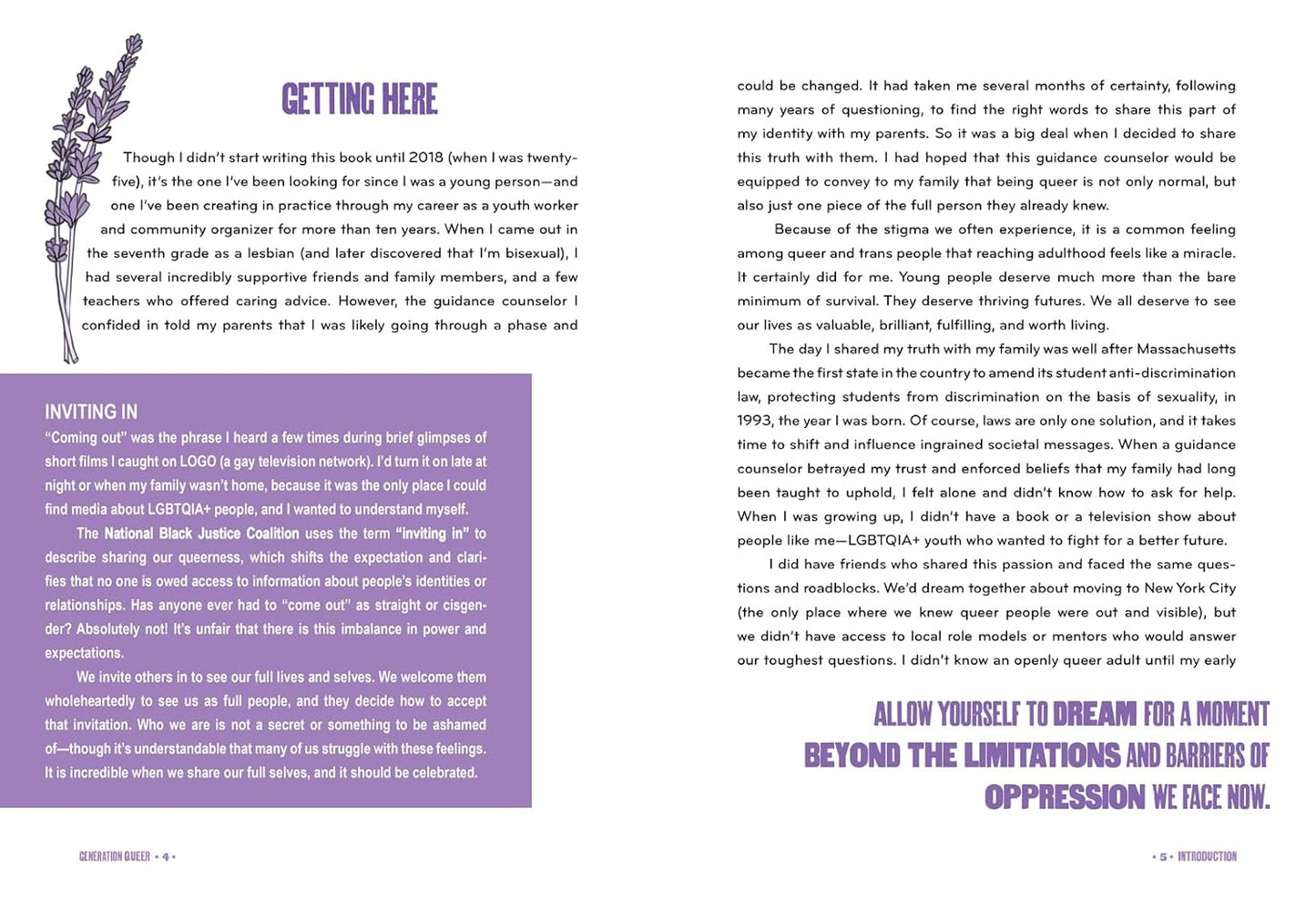 Generation Queer: Stories of Youth Organizers, Artists, and Educators