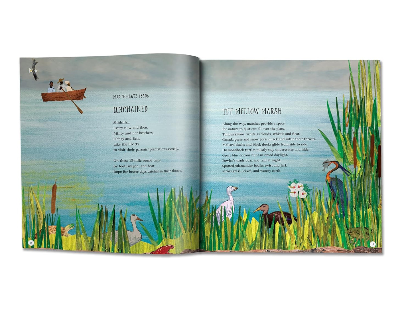 Harriet Tubman, Force of Nature: A Biography in Poems