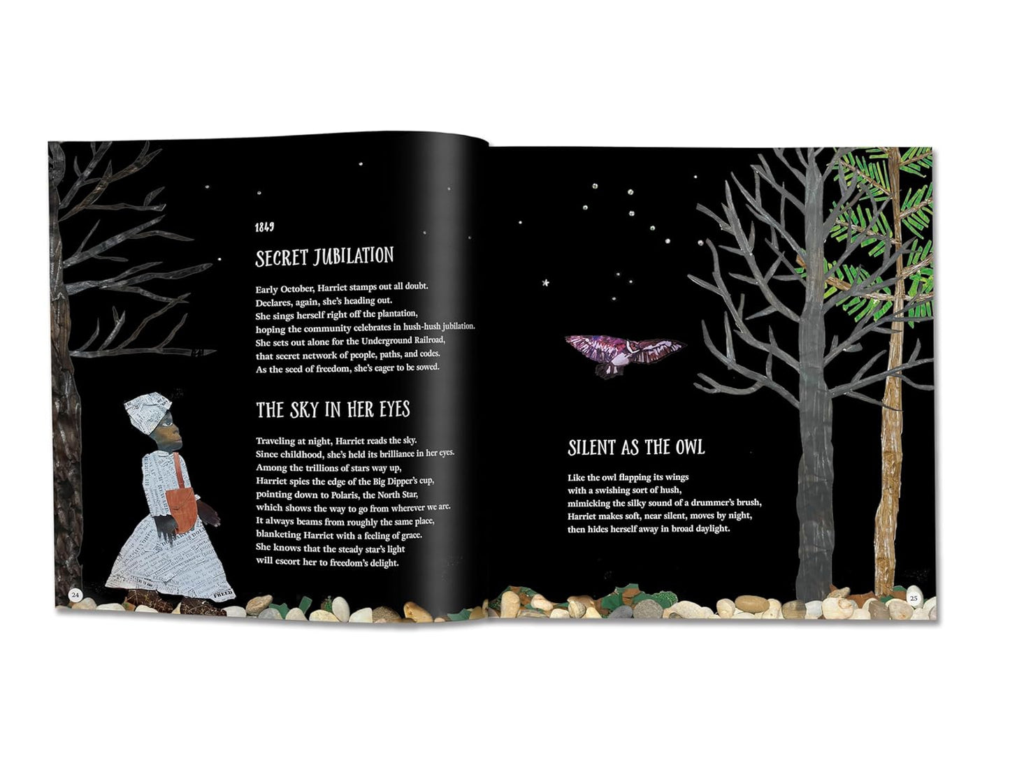 Harriet Tubman, Force of Nature: A Biography in Poems