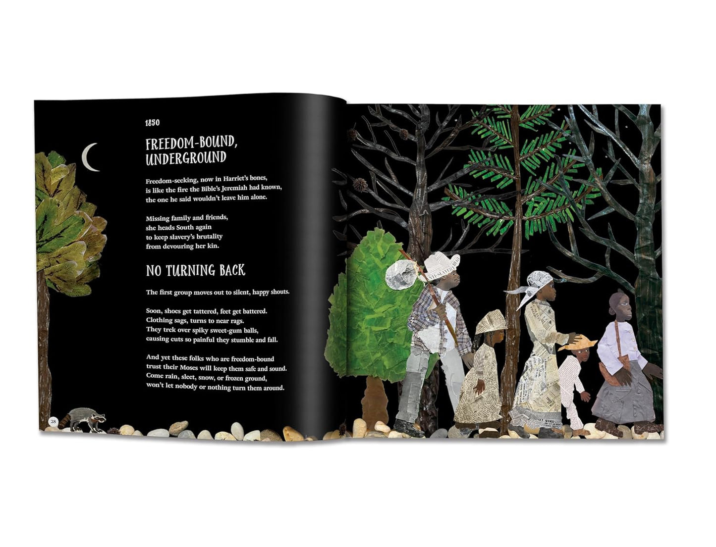 Harriet Tubman, Force of Nature: A Biography in Poems