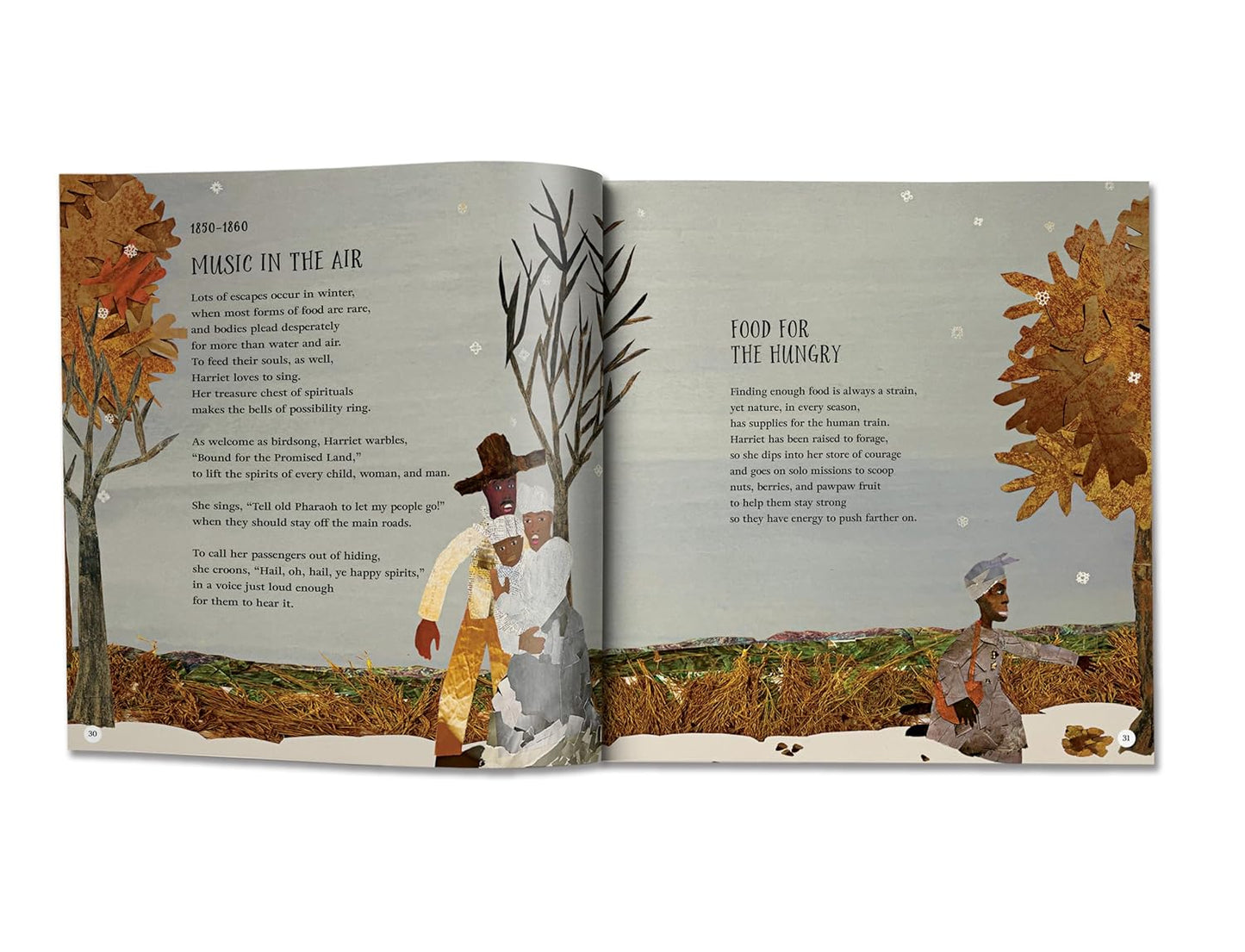 Harriet Tubman, Force of Nature: A Biography in Poems