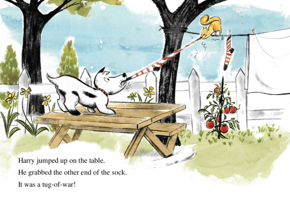 I Can Read Level 1: Harry's Squirrel Trouble